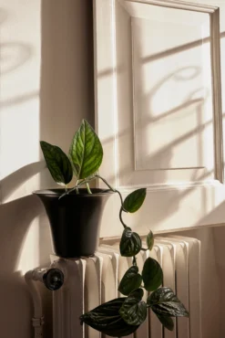 Ferm LIVING Cache-pot Spun Alu Ø 24x17,5 Cm 4 Ferm LIVING Cache-pot Spun Alu Ø 24x17,5 Cm -ferm LIVING Magasin 579935 01 40 EnvironmentImage 7dff2564b5